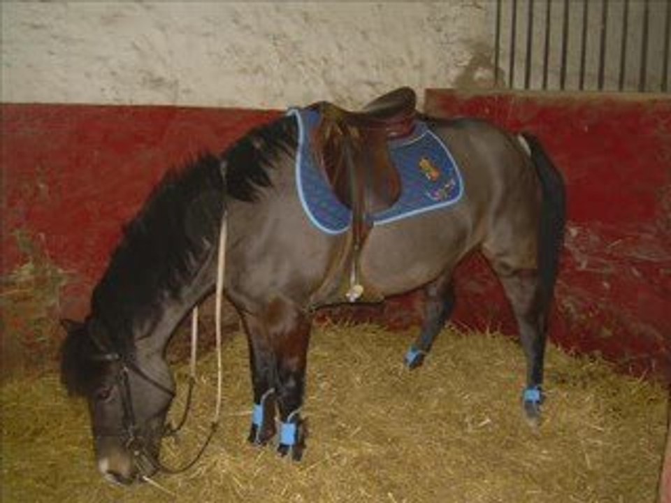 Fovettejtm