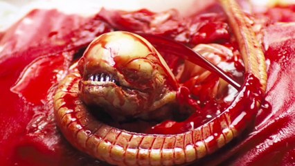 Alien (1979) MovieExplained in Hindi - FilmInsight