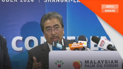 Kerajaan bantu pekebun kecil patuhi tarikh akhir EUDR - Johari