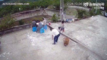 Video: ¡No pudo esquivarlos! Perdió el control de su auto y atropelló a una madre e hijo