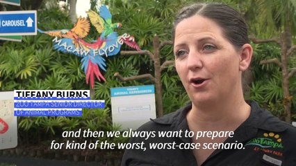 Florida zoo rushes to secure animals ahead of Hurricane Milton