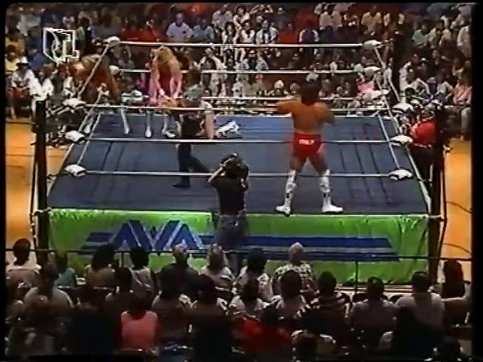 WCW Catch Up (RTLplus)  1989-06-25