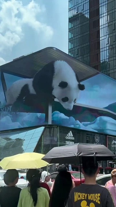 Pandas