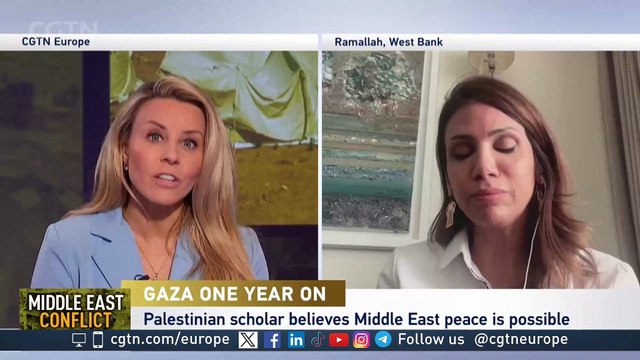 Palestinian scholar: UN resolutions must be implemented