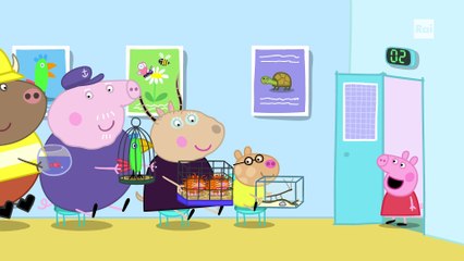 Peppa Pig - S9E58 - Una giornata con la dottoressa Criceto
