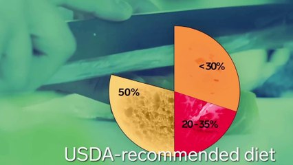 What The Keto Diet Actually Does To Your Body | The Human Body