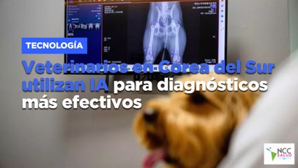 Veterinarios en Corea del Sur utilizan IA para diagnósticos más efectivos