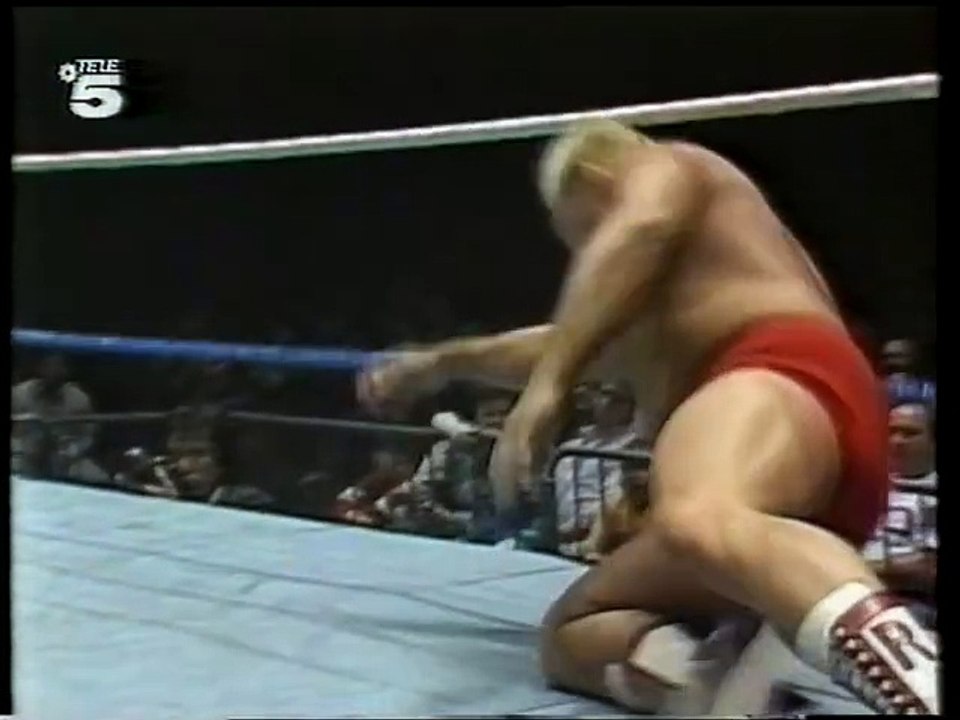 WWF Catchen (Tele5) 1990-03 #01