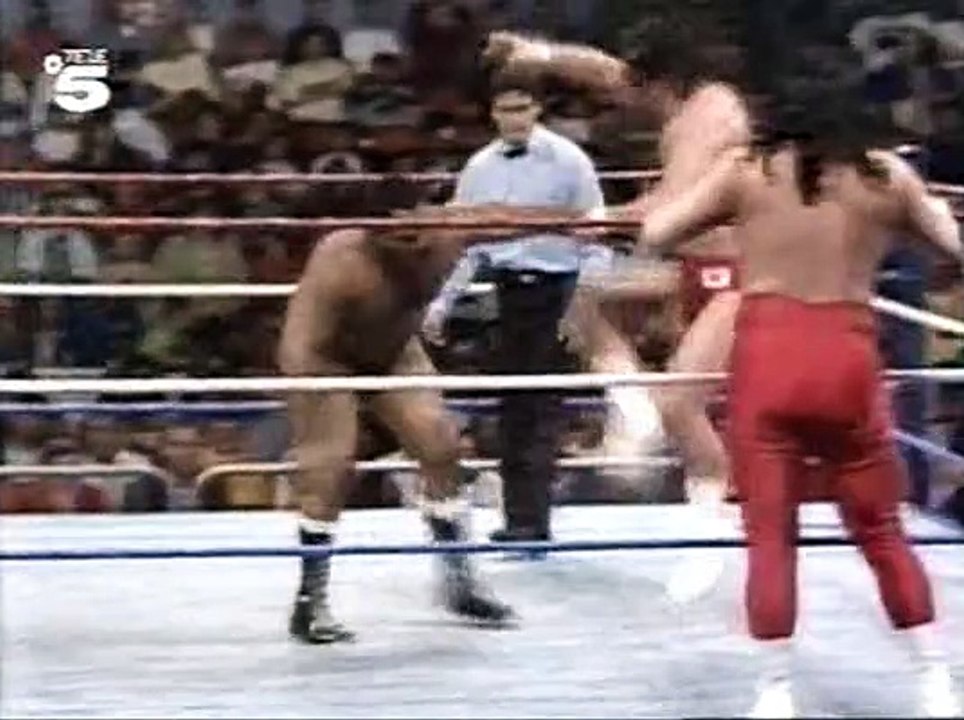 WWF Catchen (Tele5) 1990-03 #02