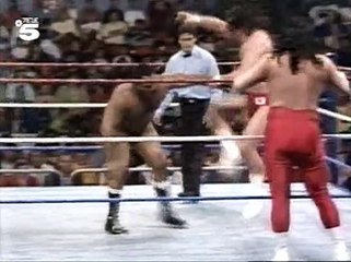 WWF Catchen (Tele5) 1990-03 #02