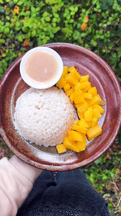 Ma recette d'asie préférée 