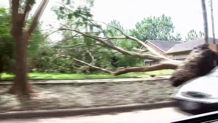 Why Are People Still Living In Florida? #milton