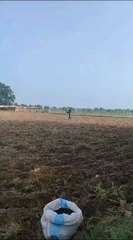 Ecco il mio ultimo video