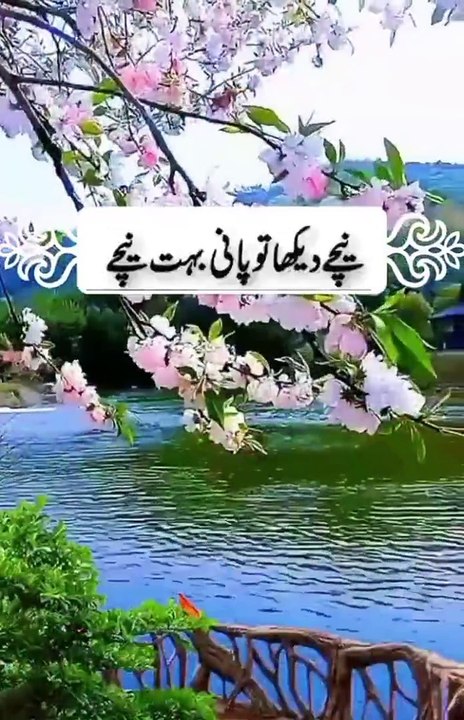!اللہ سے بار بار دعا کیا کریں