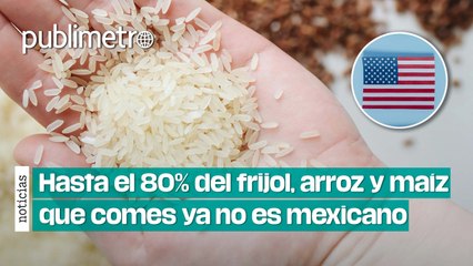 Hasta 80% del frijol, arroz y maíz que comes ya no es mexicano... es gringo