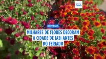 Cidade romena de Iasi enche-se de flores coloridas para o feriado de Santa Paraskeva