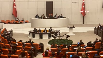 Mecliste, Narin Güran ve kadın cinayetlerine 1 dakikalık sessizlik eylemi