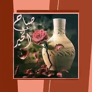 المغرب مكناس فاس طنجة Rabat Maroc mor