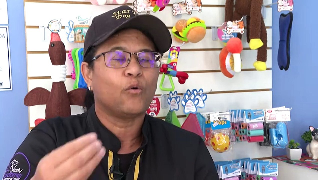 Em um Brasil com cada vez menos crianças, animais de estimação recebem os mimos