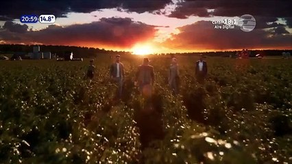 138. Tierra de Deseos (Terra e Paixao), en español