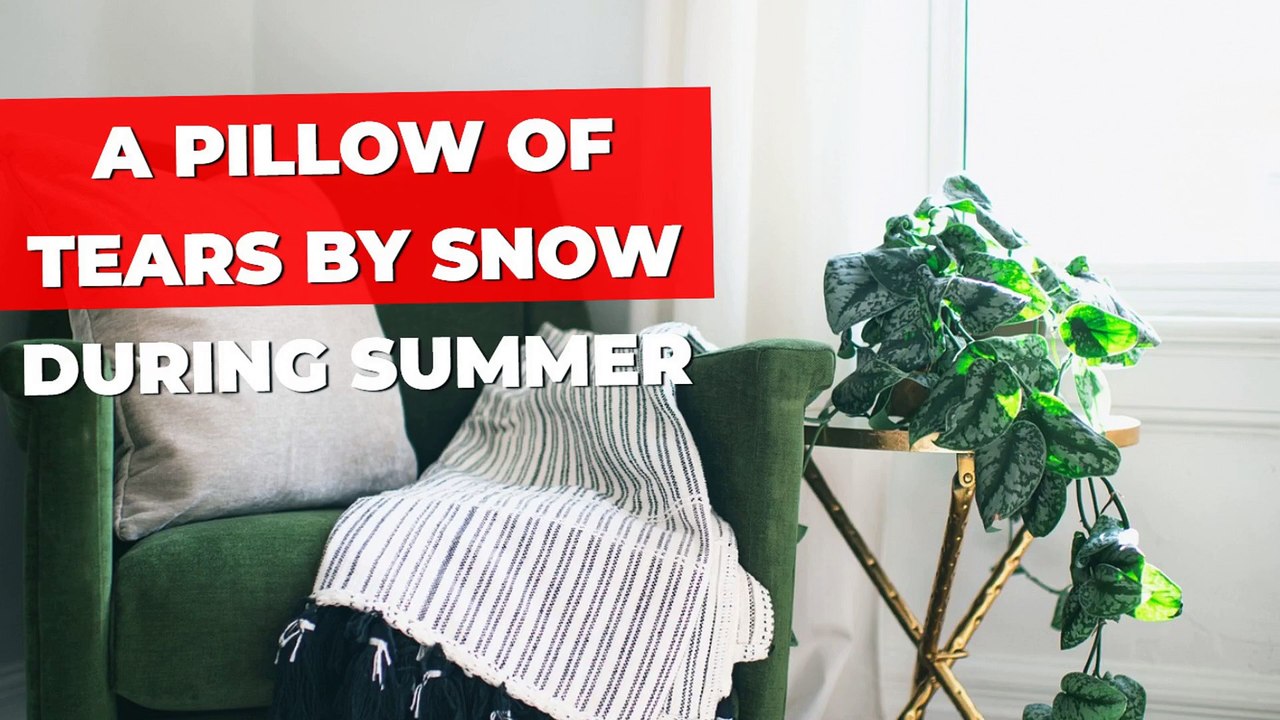 a pillow of tears by Snow During Summer