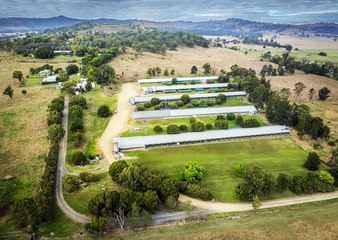 Valley View Poultry Farm, Cryna | October 9, 2024 | Farmonline