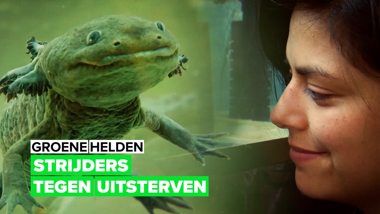 Bescherm watermonsters