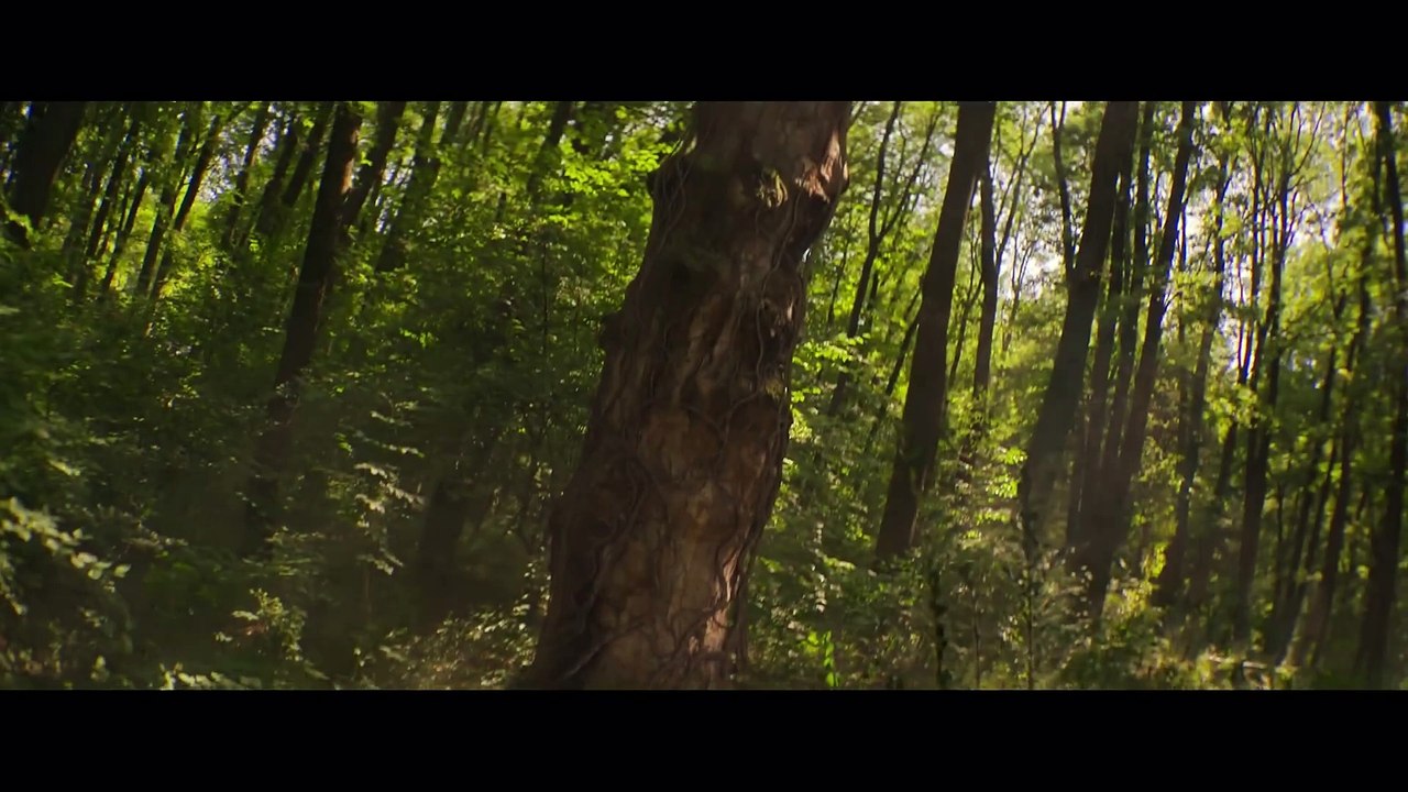 Bagman | movie | 2024 | Official Trailer