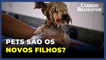 Em um Brasil com cada vez menos crianças, animais de estimação recebem os mimos