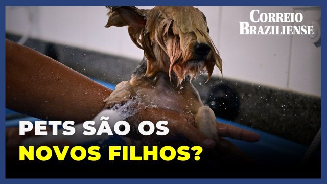 Em um Brasil com cada vez menos crianças, animais de estimação recebem os mimos