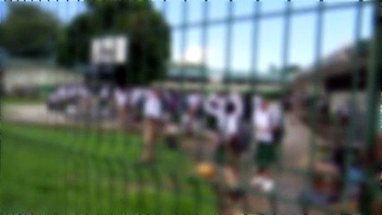 CHILDREN'S AUTHORITY ON BULLYING