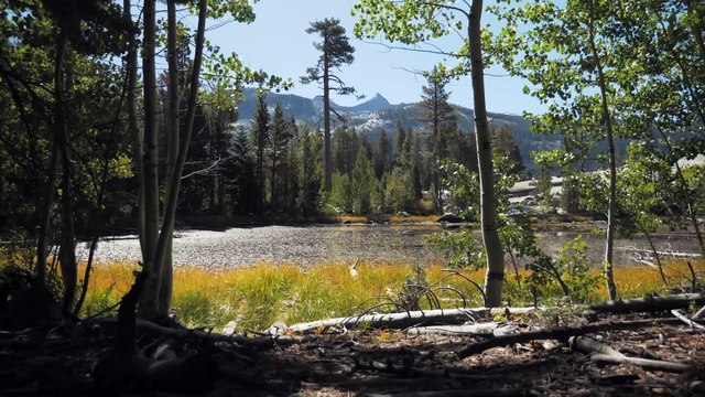 Alone in Yosemite Backcountry