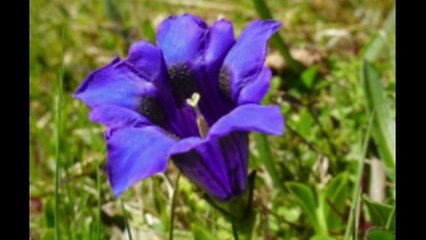 When Godly love touches you... ‐  CLIP - Made with Clipchamp.mp4