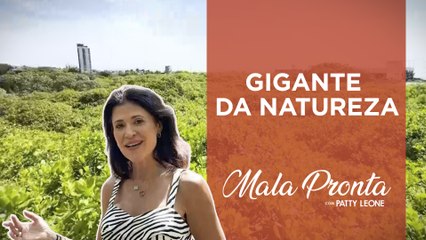 Conheça o Maior Cajueiro do Mundo com Patty Leone | MALA PRONTA