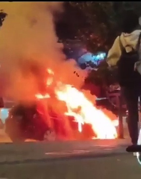 WhatsApp Video 2024-10-08 at 7.33.48 PM