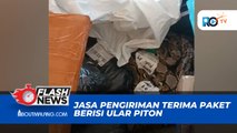 JASA PENGIRIMAN MENERIMA PAKET BERISI ULAR PITON TANPA DIBERI KANDANG