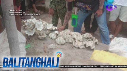 Mahigit 2 toneladang taklobo, nakumpiska; Nagbebenta nito, arestado | Balitanghali