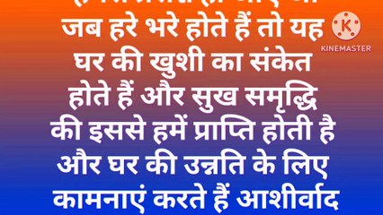 नवरात्री कन्या पूजन मे कन्याओ को न दे यह चीजे | Vastu shastra |