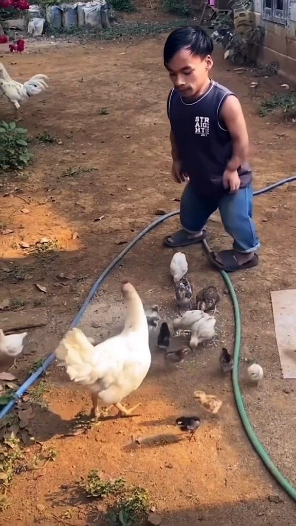 Best funny video! Entertainment video