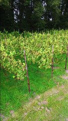 Video zonder titel (1)