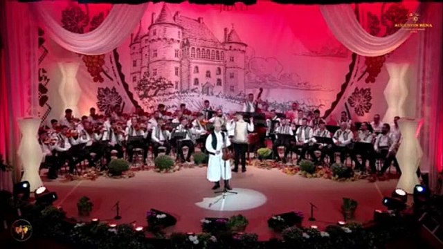 Iulian Marian Goste - Festivalul Strugurele de aur - Alba-Iulia - 05.09.2024