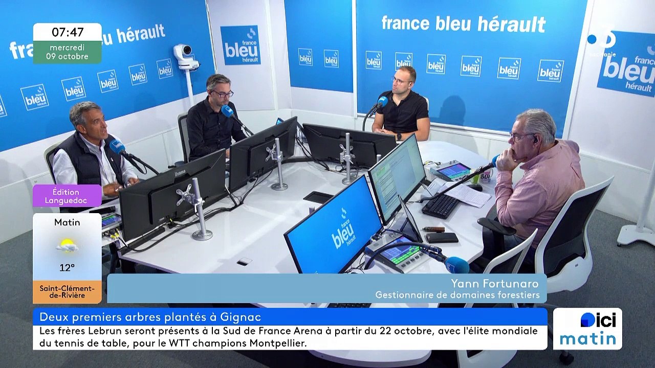 Yann Fortunato, gestionnaire de domaines forestiers, à l'initiative de la forêt du MEDEF