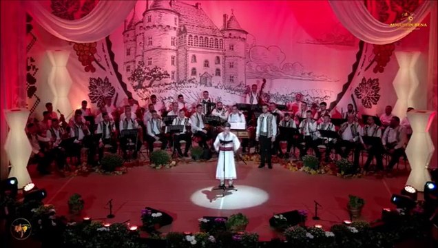 Nae Ioan Valeriu - Festivalul Strugurele de aur - Alba-Iulia - 05.09.2024
