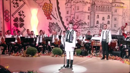 Ștefan Bogdan Țîrdea - Festivalul Strugurele de aur - Alba-Iulia - 04.09.2024