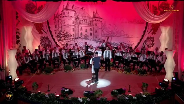 Valentin Vadraru - Festivalul Strugurele de aur - Alba-Iulia - 05.09.2024