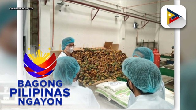 Panayam kay DOST-ITDI Science and Technology Fellow Danilo Barcelon Jr. kaugnay ng paraan para makpakinabangan ang balat ng saging