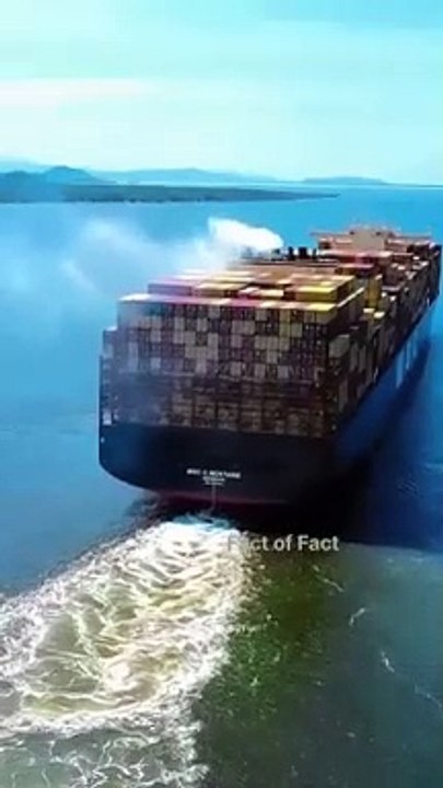 World Biggest Loss Ship History