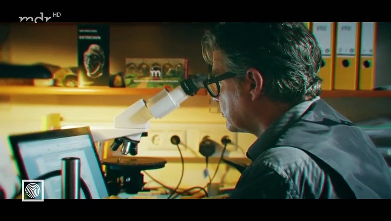 Kripo live-Tätern auf der Spur-Der Krimi um die Himmelsscheibe von Nebra