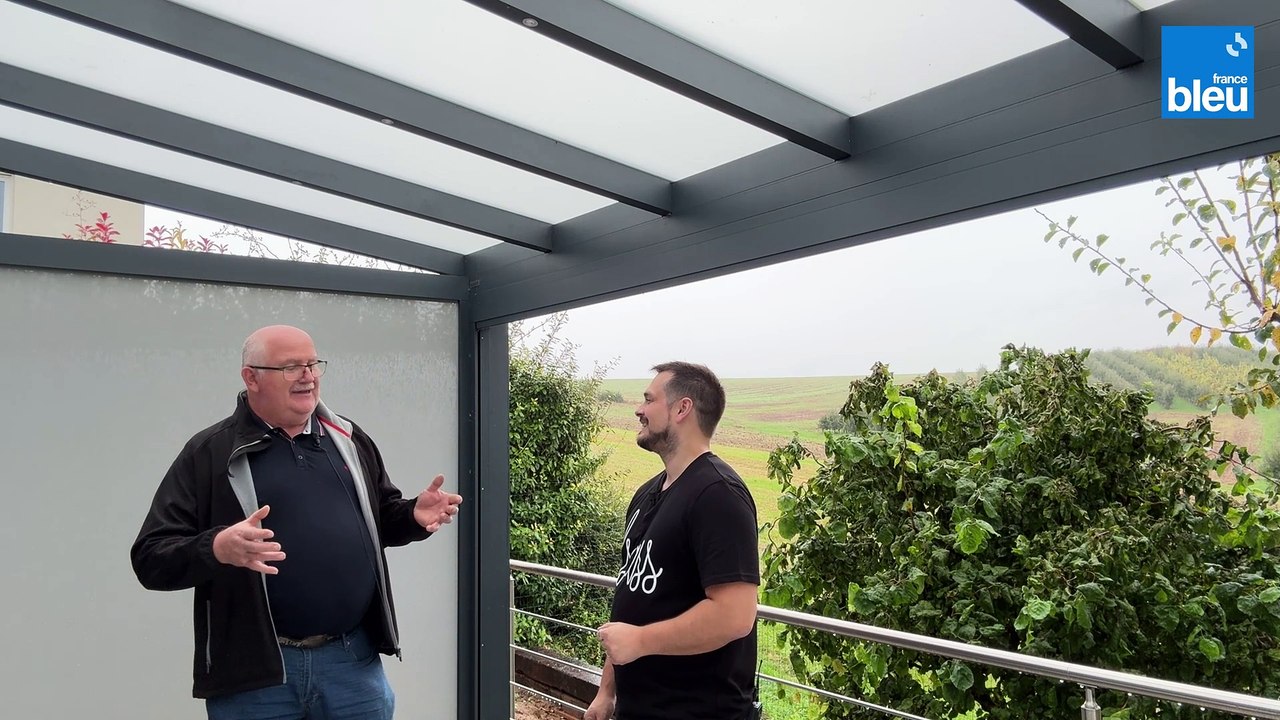 1/5 : une bonne année pour les abeilles, ou pour les guêpes ?