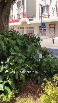 POV deine Mom springt in den Busch #barber #friseur #skinfade #midfade #straighthair #locken #curl